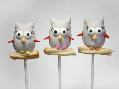 Woodland Creature Owl Cake Pops too cute